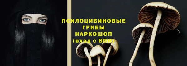 меф Нефтегорск