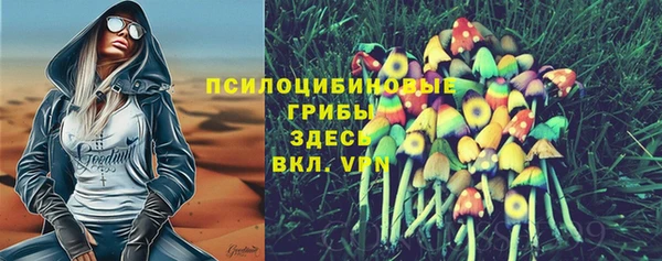 стаф Нефтекумск