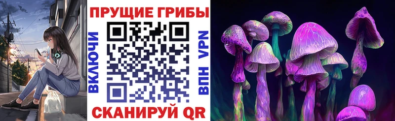 Галлюциногенные грибы Psilocybine cubensis  Купить  Красный Холм 